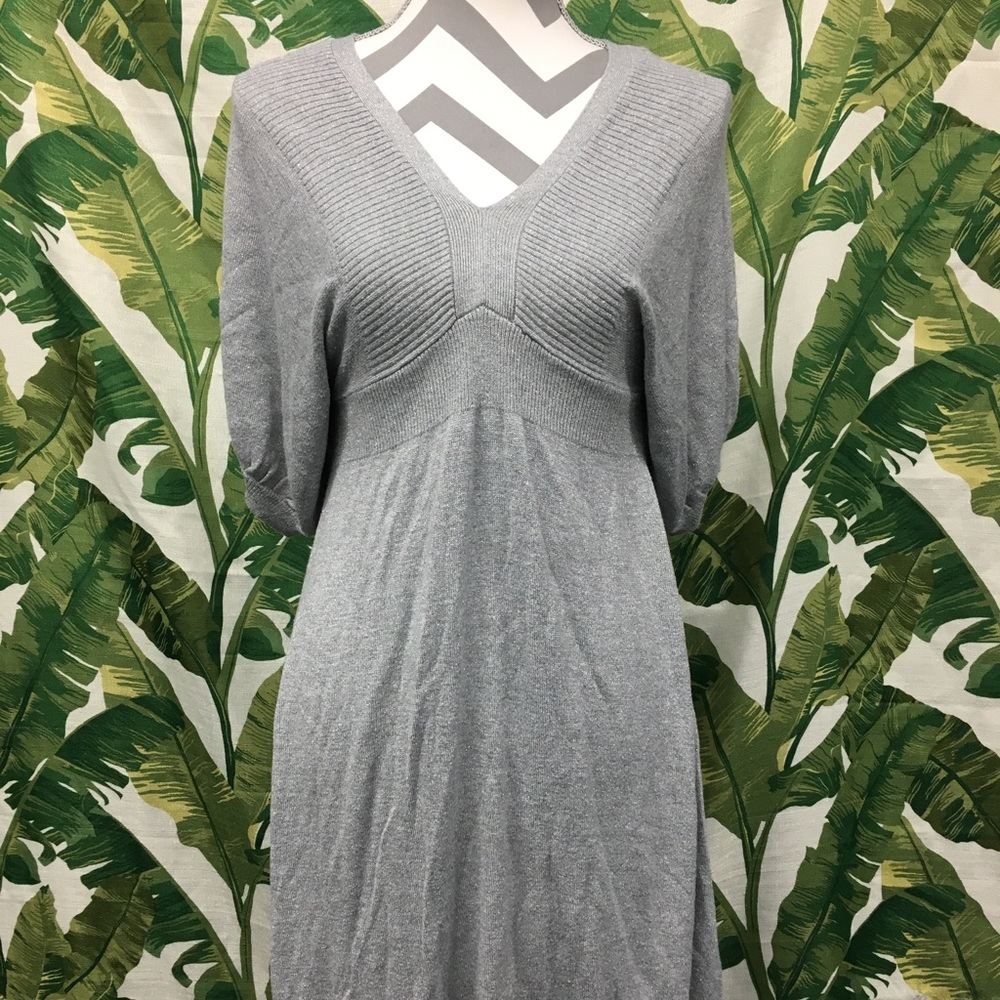 Express Knit Dress
